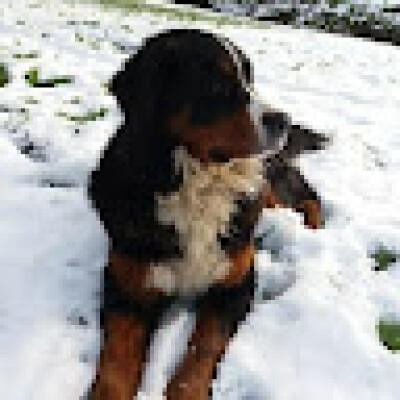 Irene is looking for a Room / Apartment in Arnhem