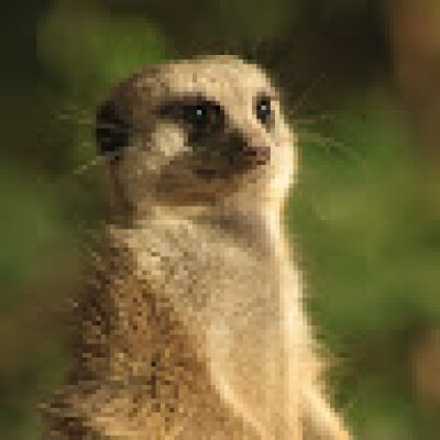 Jelle zoekt een Kamer in Arnhem